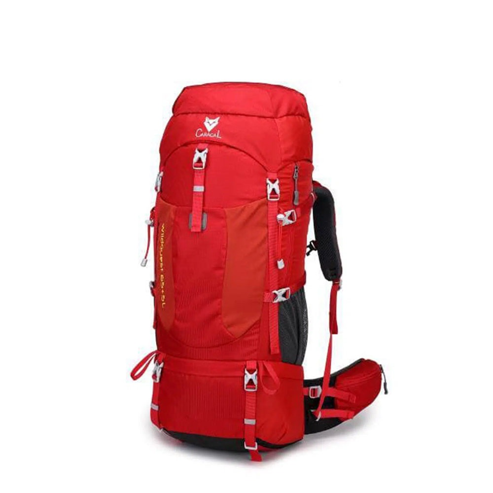 کوله‌پشتی کوهنوردی کاراکال CARACAL 65+5L